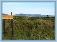 Meadow Pančavská louka