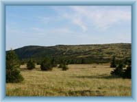 Meadow Pančavská louka