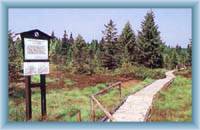 Božidarské peat-bog