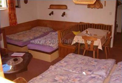 Apartment Harrachov 546