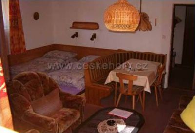 Apartment Harrachov 546