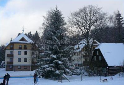 Apartment Deštné v Orlických horách