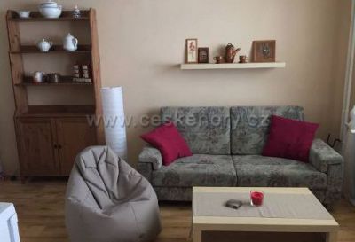 Apartment Kovářská