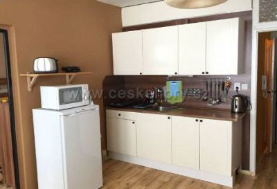 Apartment Kovářská