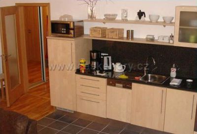 Apartment - Apartmenthouse Lověna