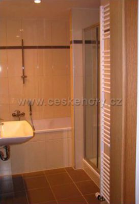 Apartment - Apartmenthouse Lověna