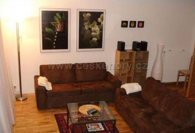 Apartment - Apartmenthouse Lověna