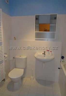 Apartments Čertovka