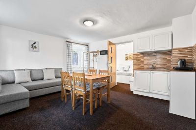 Forest House - House close to Klínovec