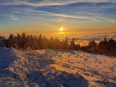 Forest House - House close to Klínovec