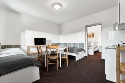 Forest House - House close to Klínovec