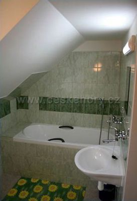 Mountain pension Balnea