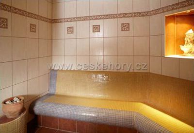 Hotel Bílý Hořec ***