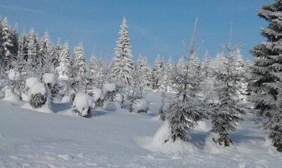 Cottage Na Rafande Cesky Jiretin