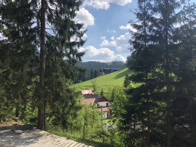 Cottage Na Leskové