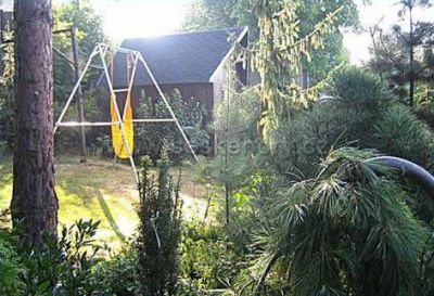 Holiday house - cottage in the garden with pool