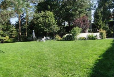 Holiday house - cottage in the garden with pool