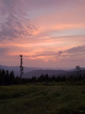 Mountain cottage Pancíř