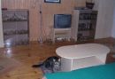 Cottage Panthera