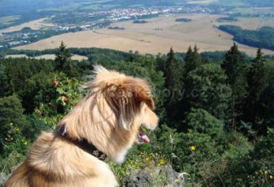 Mountain cottage Plazmat