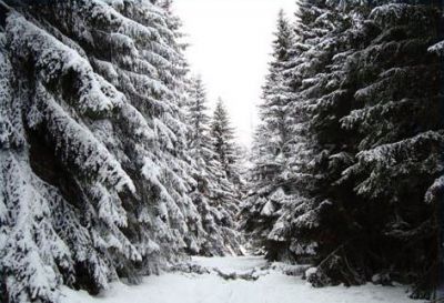 Mountain cottage Plazmat