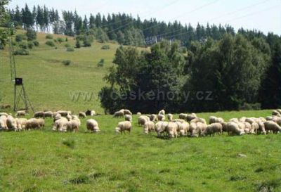 Mountain cottage Plazmat