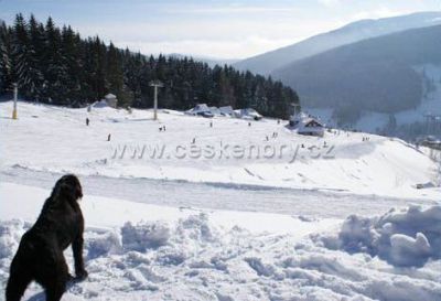 Mountain cottage Danielka - on the slope