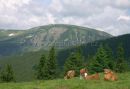 Mountain farm on mountain Ruzova hora