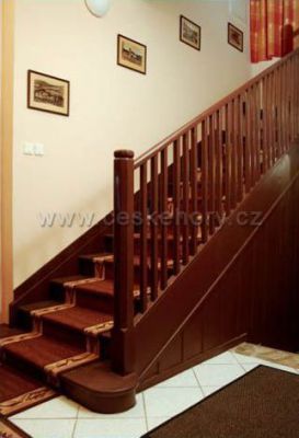 Hotel Domovina ***