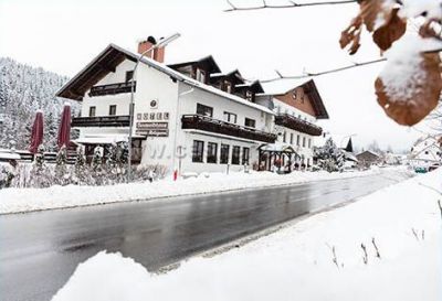 Hotel Lesní Dům