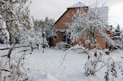 Cottage in Wallachia