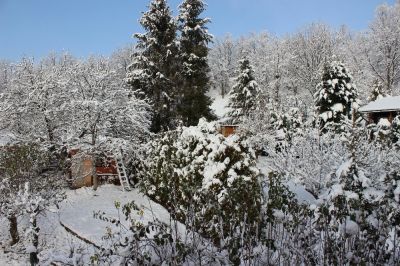 Cottage in Wallachia