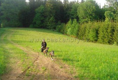 Camping Javorová skála