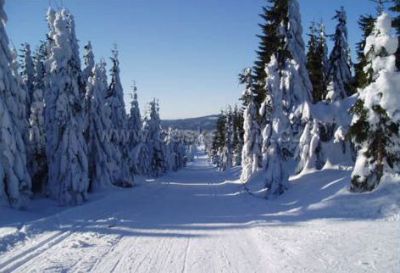 Guest house Jindřichovka