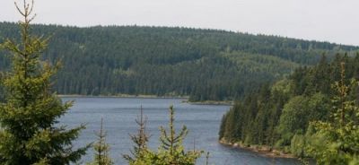 Cottage Karlovka