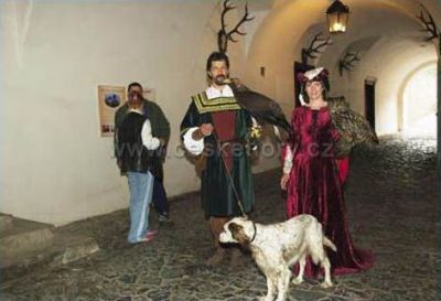 Apartment in complex of castle Kost