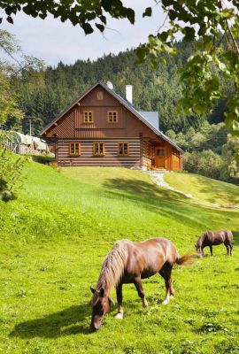 Cottages Lysečinky