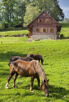 Cottages Lysečinky