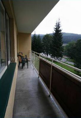 Apartment Bedřichov
