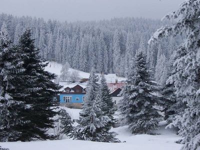 Modrá cottage