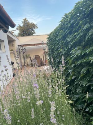 Guesthouse Lena - house for family recreation