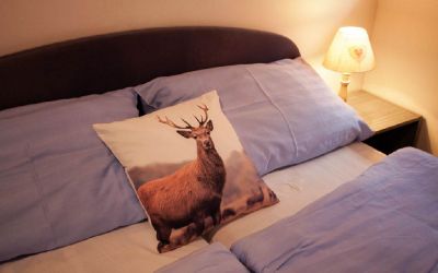 Guesthouse Pod Ždánovem