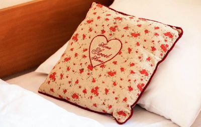 Guesthouse Pod Ždánovem