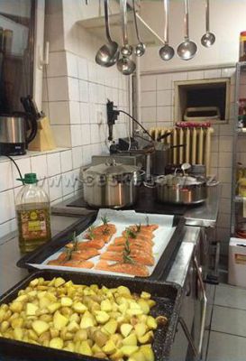 Guesthouse Svetla Hora