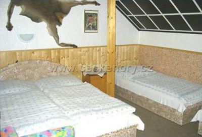 Apartments and Villa Plischke