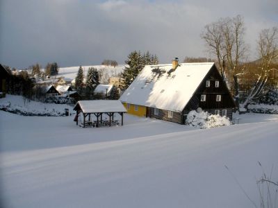 Cottage Pod lípou