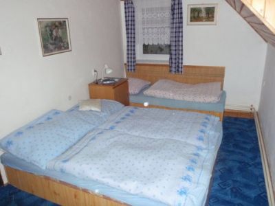 Holiday cottage Prichovice 1121