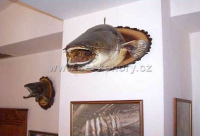 Pension Borovnice - Fishermen's Pub