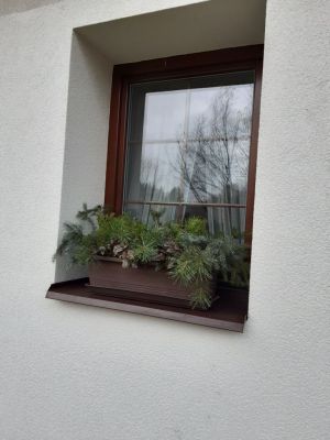 Ap. Rydvalovi