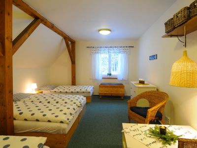 Chalet Hajovna Serlissky Mlyn